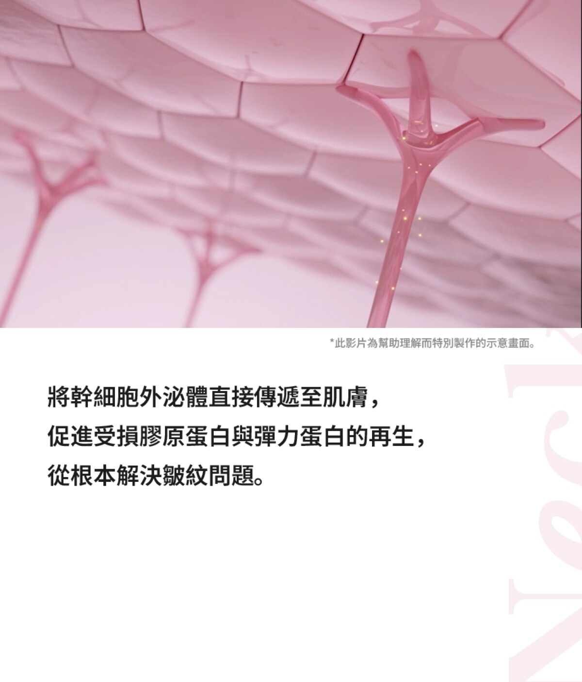 Beaund NECK SILKY MASK - 獨家網狀高密度頸膜